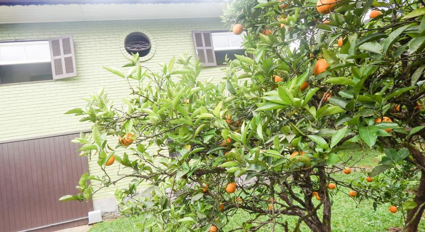 Casarao Gramado Residence 部屋 写真